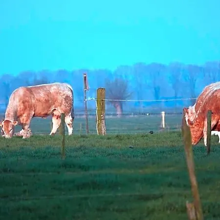 Bed and Breakfast Bij Bronckhorst 3*