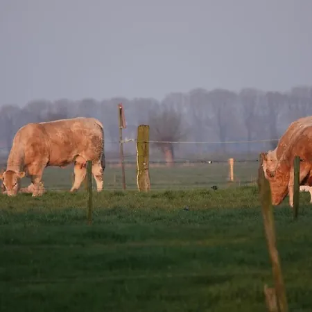 Bij Bronckhorst *